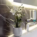 Reichel-appartements 4* بادن بادن