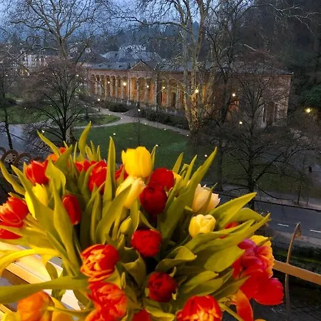 شقة فندقية Reichel-appartements بادن بادن