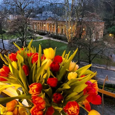 Reichel-appartements بادن بادن