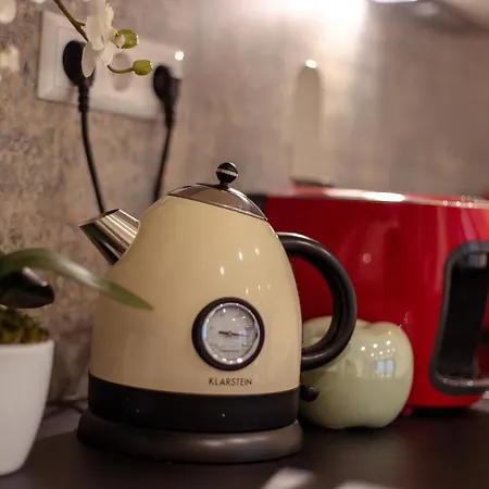 Reichel-appartements شقة فندقية بادن بادن