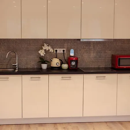 Reichel-appartements بادن بادن