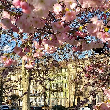 شقة فندقية Reichel-appartements 4*