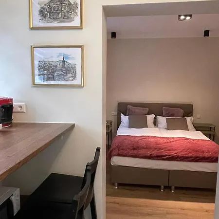 Reichel-appartements 4* بادن بادن