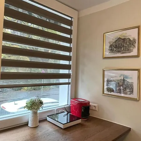 Reichel-appartements بادن بادن