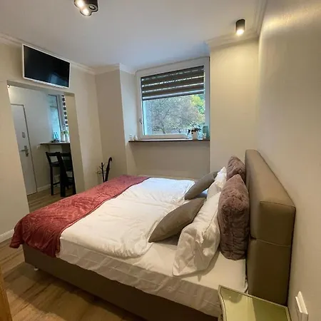 شقة فندقية Reichel-appartements بادن بادن