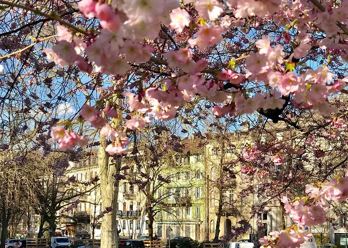 Apartmanhotel Reichel-appartements 4*